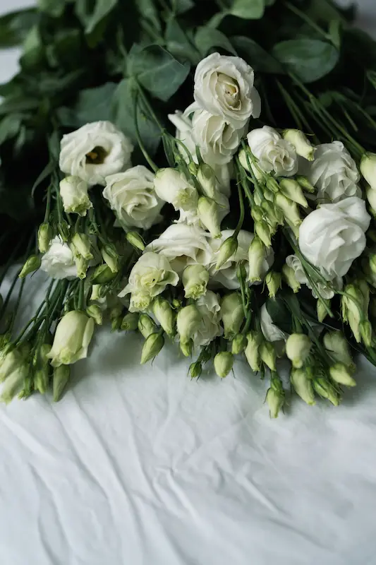 Photo de fleurs pour un mariage